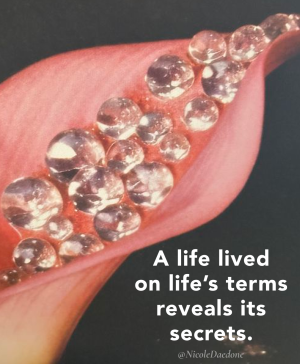 A Life Hidden Inside This Life — 1 Cover