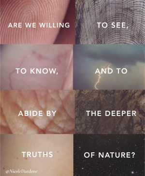 nature 1